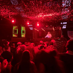 Mungos Hifi Support - '25 (Live)