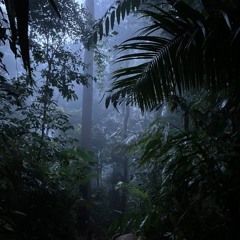 Mu$tardEbk-Forest Hills(Prod.pierre1k)