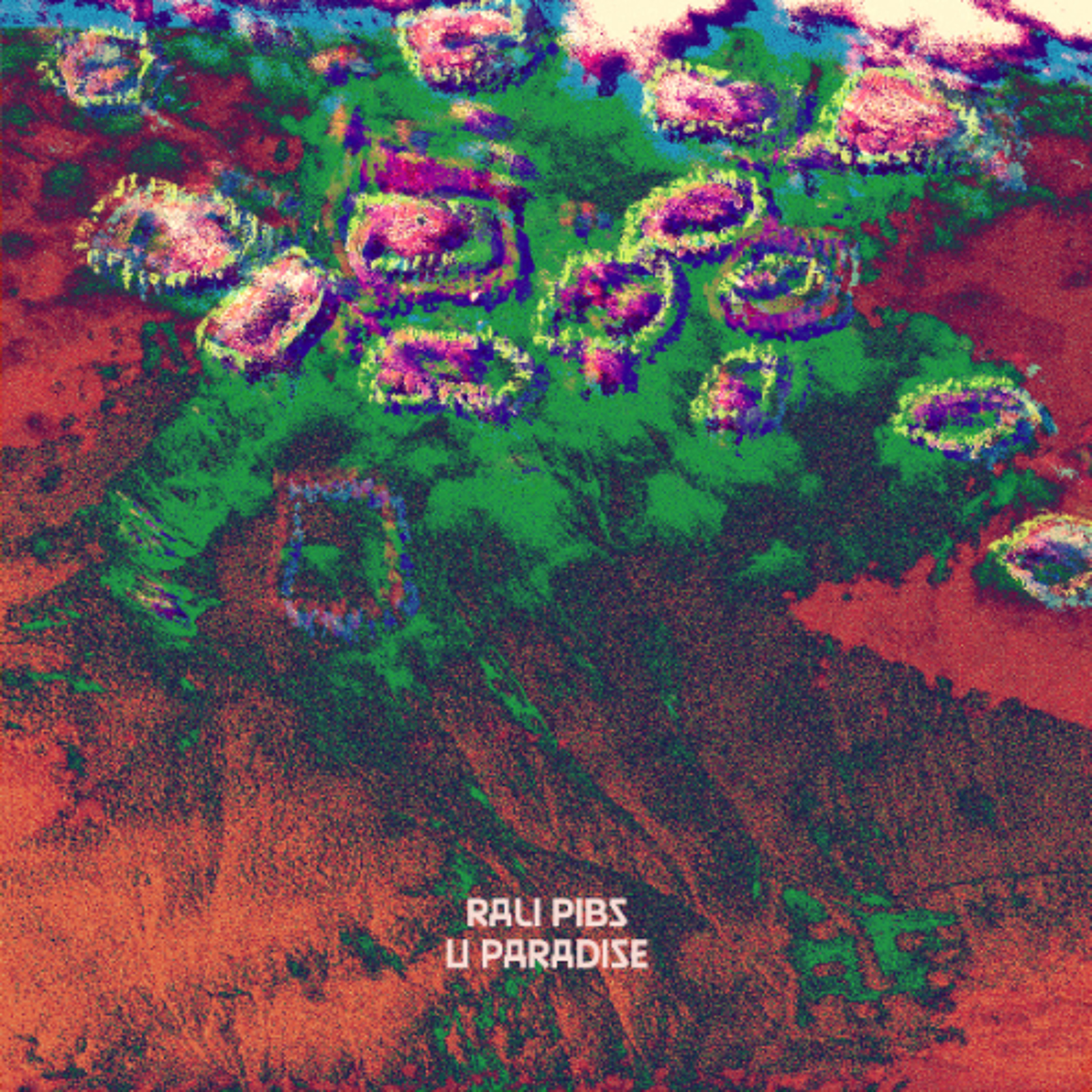 Rali Pibs - U Paradise Groove episode artwork