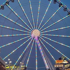 I Hope You Find Your Way (Back Home)