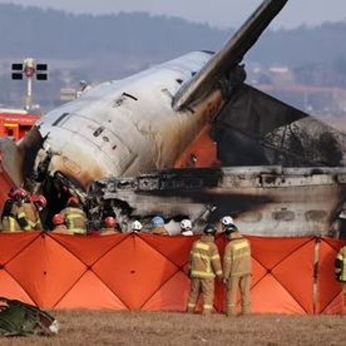 Korean Air Crash Video  Video Of South Korea Plane Crash South Korea Plane Crash Video