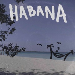 BRUISEGIRL — Habana (Prod. Solo Otto)