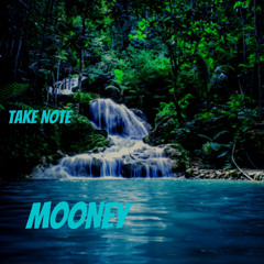 Mooney - Take Note
