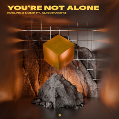 You're Not Alone (Extended Mix) [feat. Ali Schwartz]