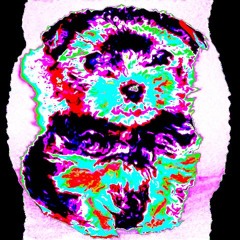 JEG VIL HA EN LITEN HUND - SYRE REMIX