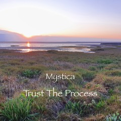 Trust The Process