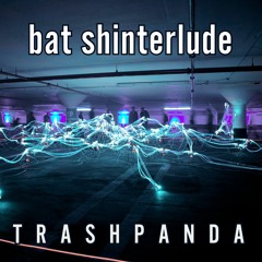 Trash Panda / TP088 / Bat / 2024-05-05