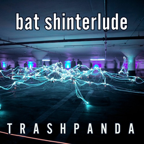 Trash Panda / TP088 / Bat / 2024-05-05