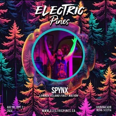 Electric Pines 2024 Mix