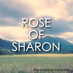 Rose of Sharon