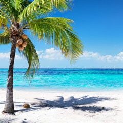 Budu tvoejj Whistle (MORGENSHTERN .FLO_RIDA)