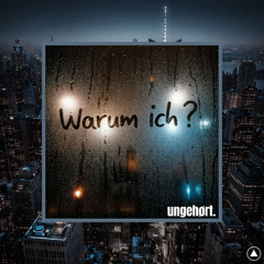 Warum ich