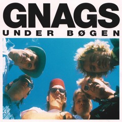 Går Med Hunden Gennem Byen