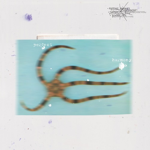 Guy Contact and Solar Suite - Zephyr