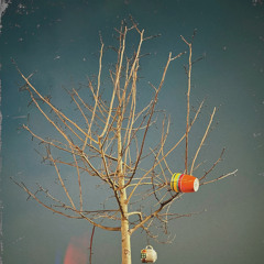 Which eye do you look at when you look at me? (prod.Melatheprod)