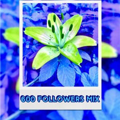 600 Followers Mix