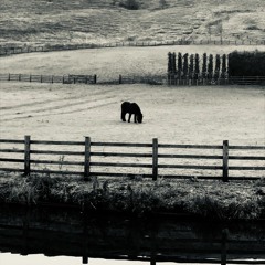 Rhona plays Solitude by Sakamoto Ryuichi