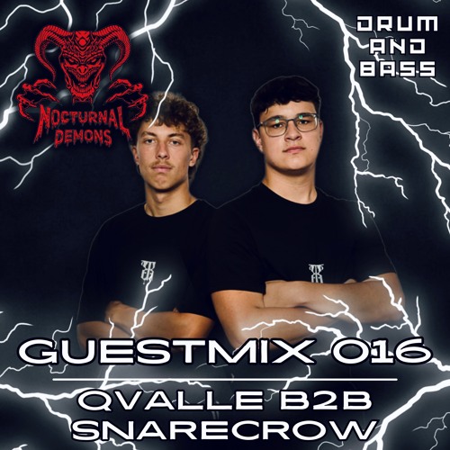 GUESTMIX - QVALLE b2b SNARECROW
