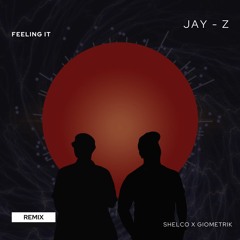 Jay-Z - Feeling it (Shelco & Giometrik Remix)