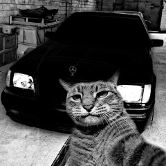 euro91 - macan91