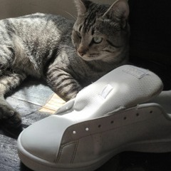 Pura Palabra de Motivación del Temach..