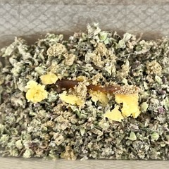 Now when 1 get pa1d(phone numbers)