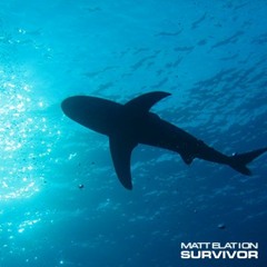 Matt Elation - Survivor (DJ Set)