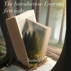 The Introduction: Love at first sight