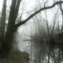 Waldhaus vs Weichentechnik @ Night Mix Session