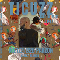 TICUZZ 044 - PARZON B2B GLETZZI