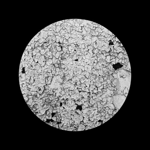 P R E M I E R E | Denis Andreev & Acusmouse - Forest [Bandcamp Exclusive]