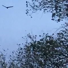 Stuff I listen to on a daily basis.