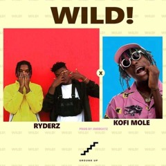 WIldest - Wild By Ryderz Ft Kofi Mole (The Anemawk Cut)