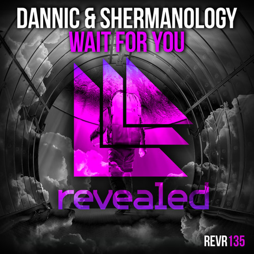 Wait For You (Extended Mix)