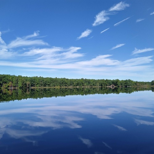 Stream Future You Guided Visualization By Aviva Coaching Listen