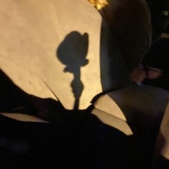 trumpets