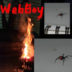 WebBoy