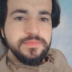 Latif Nangarhari Musafer Ghazal.m4a