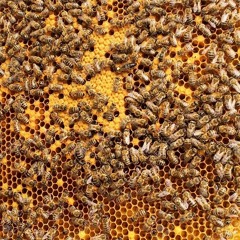 Top Tracks 2020 Gold Playlist