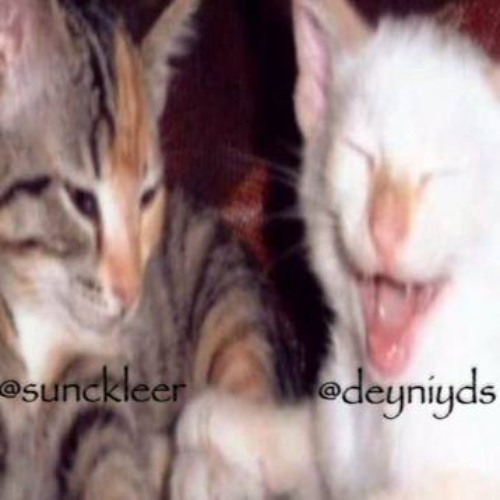 sh1tTaлk + deyniyds