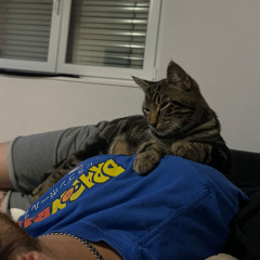 Miau Trance 9