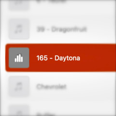 165 - Daytona