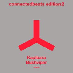 PREMIERE: Kapibara - Bushviper (Original Mix) [Connected Frontline]