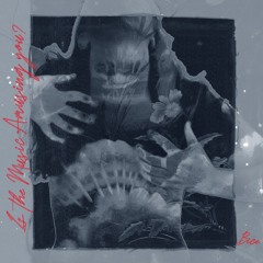 Is the Music Amusing You?