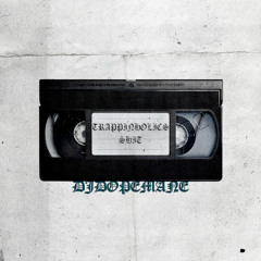 TRAPPINHOLICS SHIT