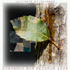 Angioma - Critical Playground