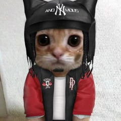 WILCZEK - UPOMIUM (odrzut climbingg)