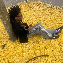 shetrim.