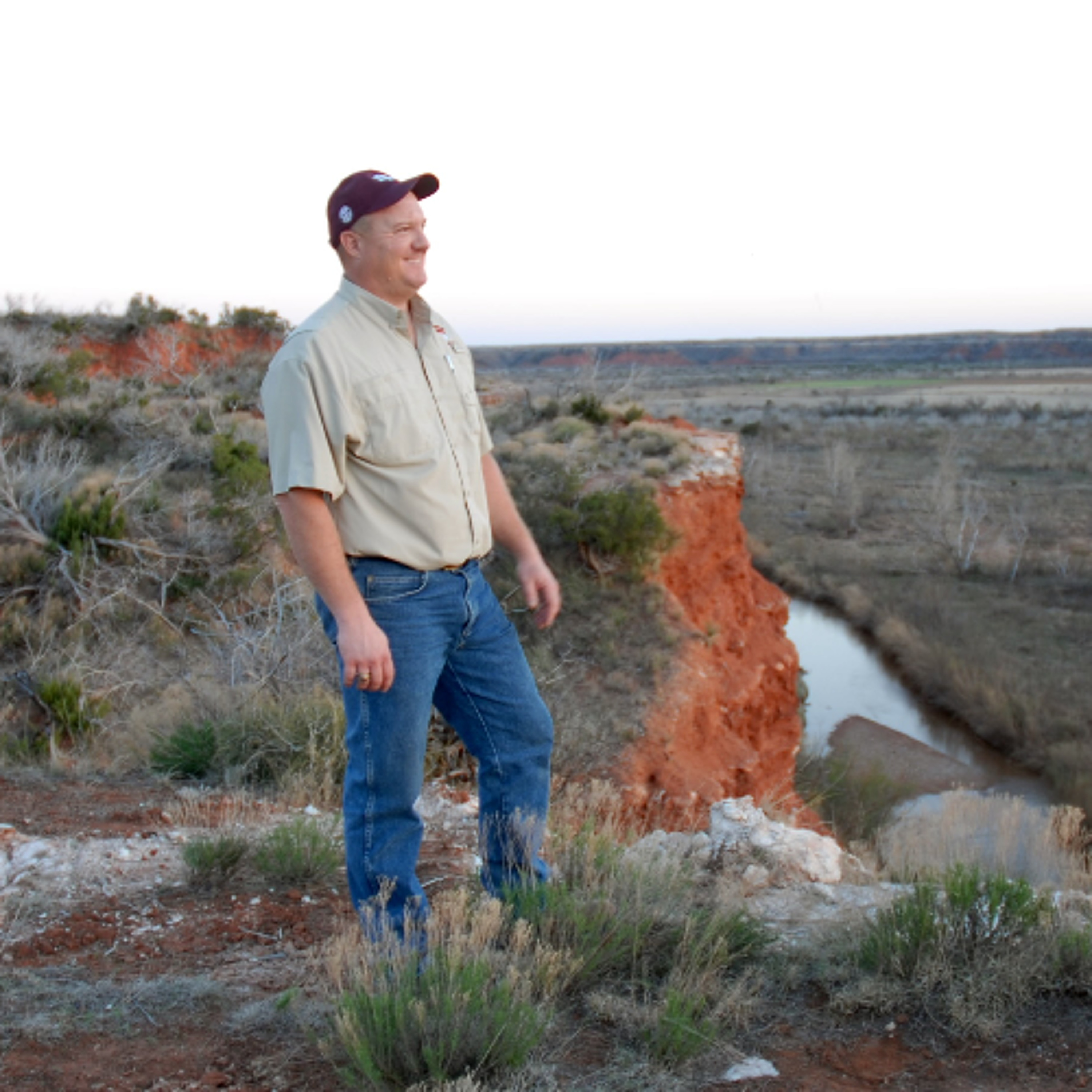Dr. Dale on Quail