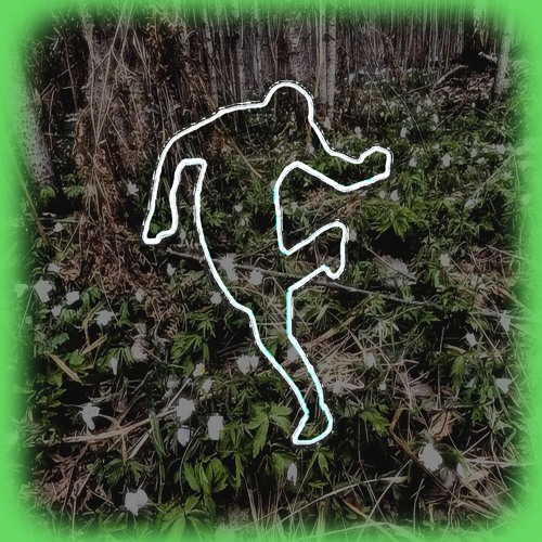 NASH4 T3MA (feat. dmitry.rx)